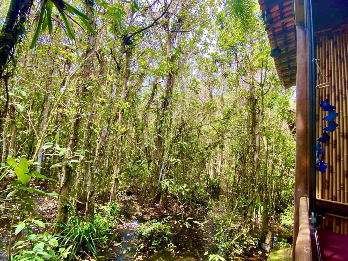 Maresias, Chale H29 Em Condominio De Frente A Entrada 18 Da Praia E Dentro Da Mata Atlantica Sao Sebastiao  Exterior foto